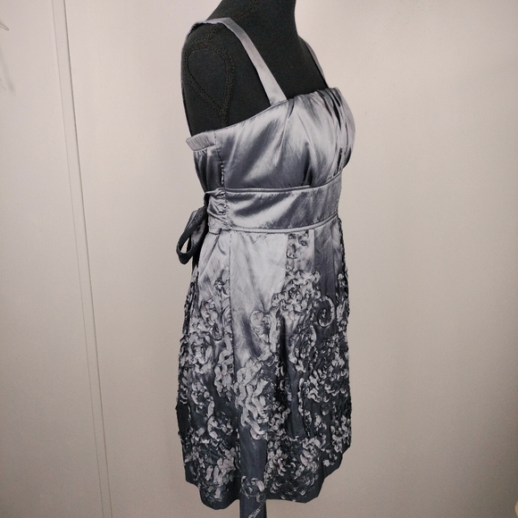 NWT R & M Richards Iridescent Silver Embroidered Fit & Flare Midi Dress Sz. 6 - Picture 8 of 14